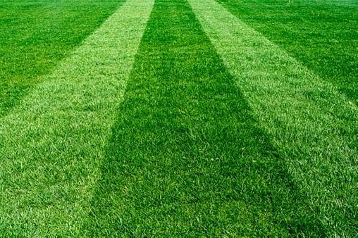 Striped lawn shown on Nevaria’s public Facebook page